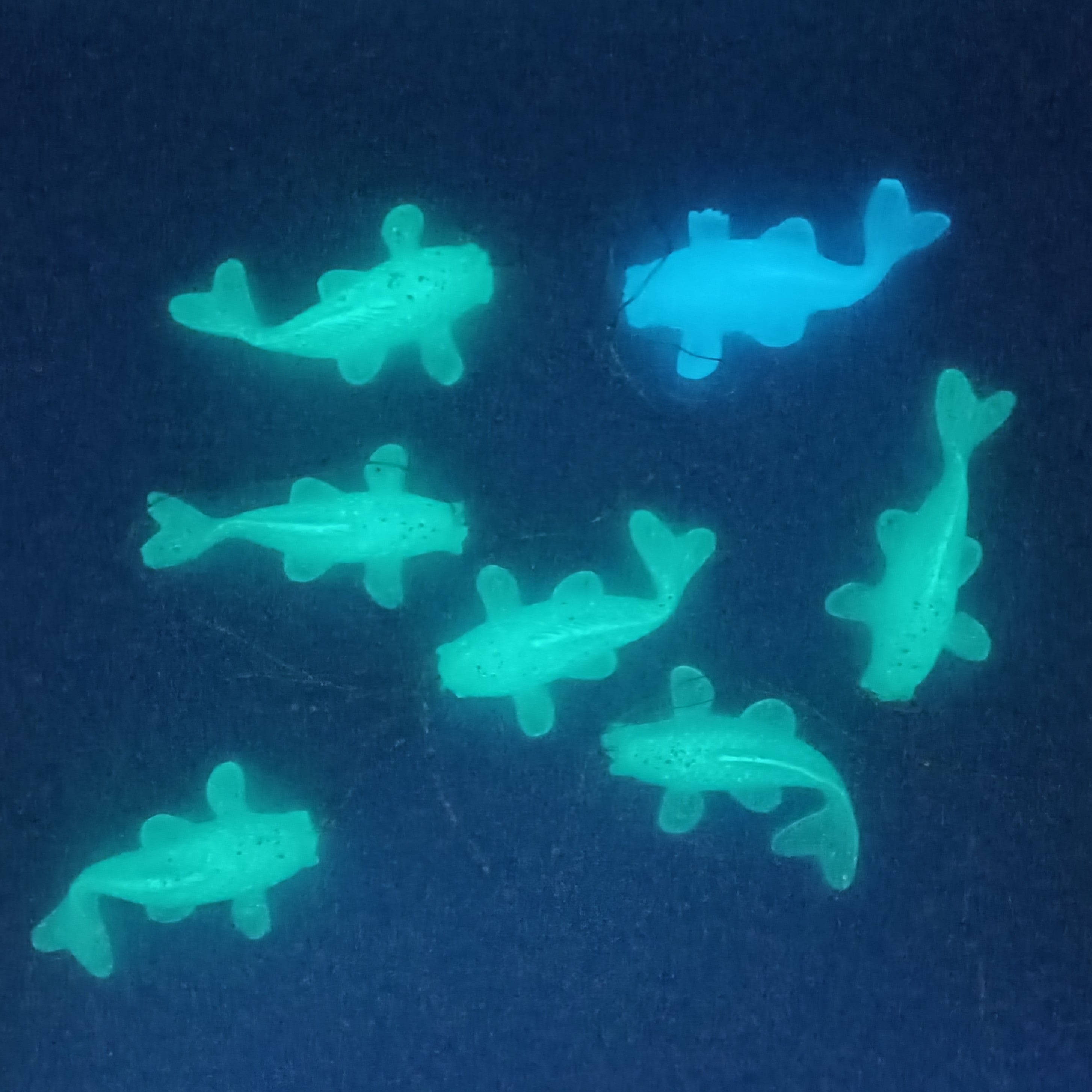 Silver Sparkle Glow In The Dark Koi fish LED String Light